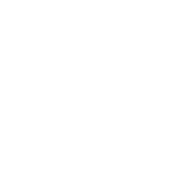 Quesadilla Franchise